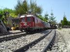 DSC04299.jpg (134kb)