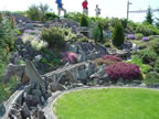 DSC04308.jpg (175kb)
