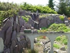 DSC04318.jpg (614kb)