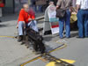 DSC07686.jpg (53kb)