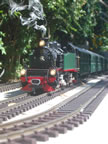 IMGP4332.jpg (49kb)