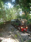IMGP4334.jpg (75kb)