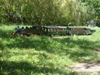 IMGP4338.jpg (86kb)